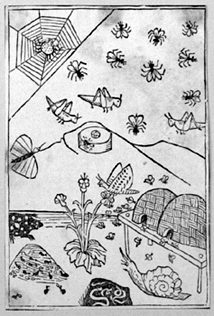 Insekten und Würmer (Titelblatt des 7. Büchleins)