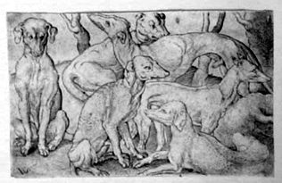 Sechs Hunde