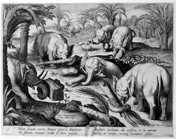 Elephanten