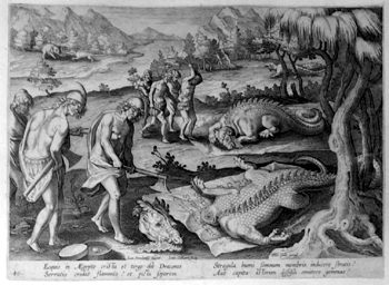 Ein Drache in Ägypten