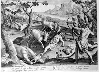 Jagd nach Einhörner