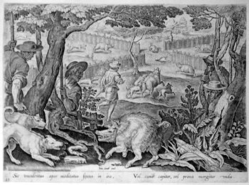 Wildschweinjagd
