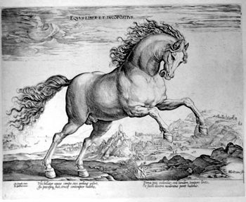 Unbändiges Pferd