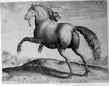 Hispanier