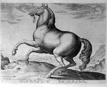 Gallier