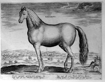 Anatolier