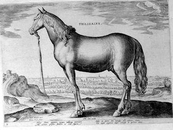 Thessalier