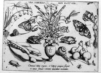 Vase mit Wiesenblumen, von Insekten und Gewächsen umgeben