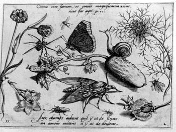 Schmetterling und Schnecke auf der Gurke, von Insekten und Gewächsen umgeben
