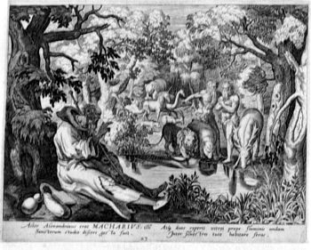 Macharius Alexandrinus
