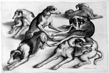 Sechs Hunde