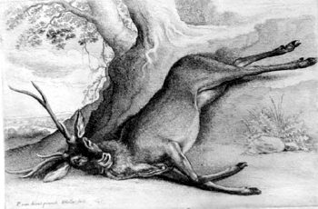 Erlegter Hirsch