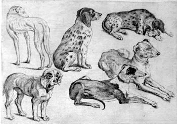 Sechs Hunde