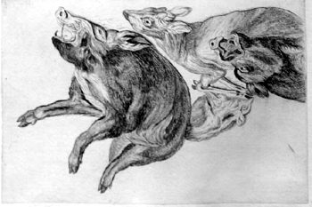 Erlegte Wildschweine und ein Reh