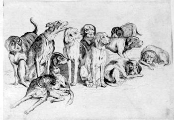 Hunde