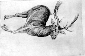 Ein Hirsch