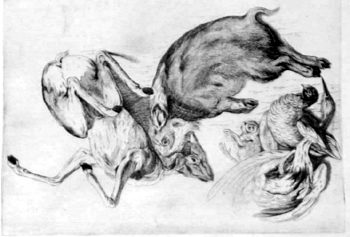 Erlegtes Wildschwein, Reh und weitere Tiere