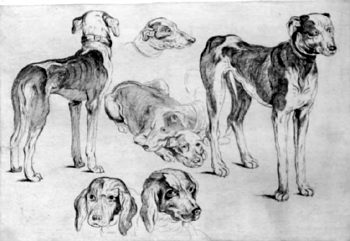 Hunde