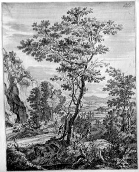 Landschaft mit großem Baum