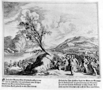 Heilung vieler Kranker