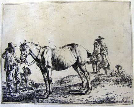 Ein Pferd mit einem Wanderer