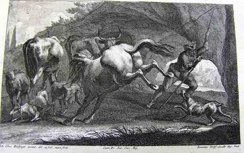 Reiter und ein scheues Pferd