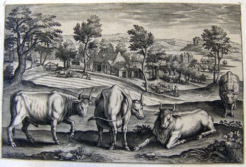 Ochsen