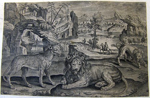 Löwen und ein Leopard