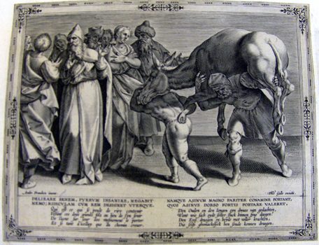 Die Fabel von Vater, Sohn und Esel IV.