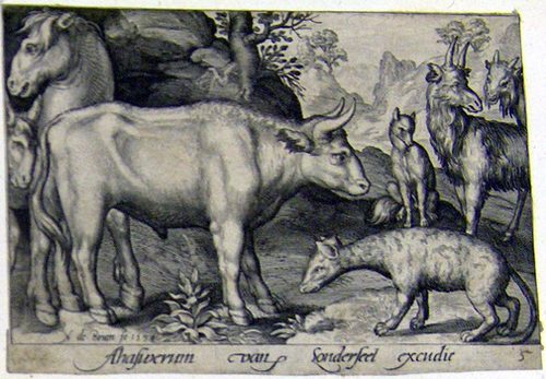 Ein Stier mit einem Bock