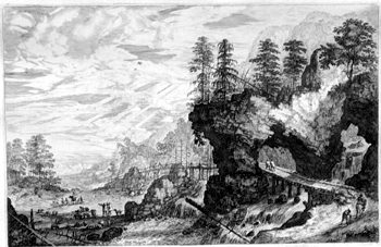 Waldlandschaft mit Brücken