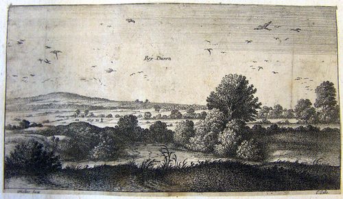 Landschaft bei Düren