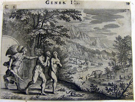Vertreibung aus dem Paradies
