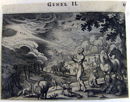 Benennung der Tiere