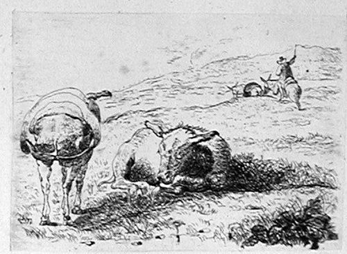 Ein Mann mit seinem Pferd in der Landschaft