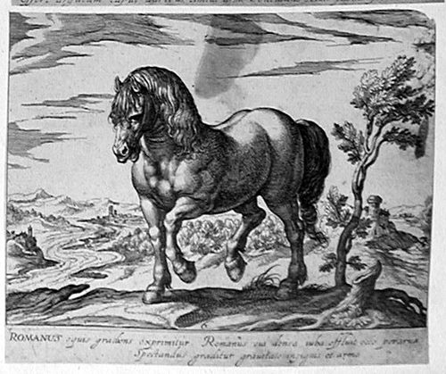 Stehendes Pferd vor einer Seenlandschaft
