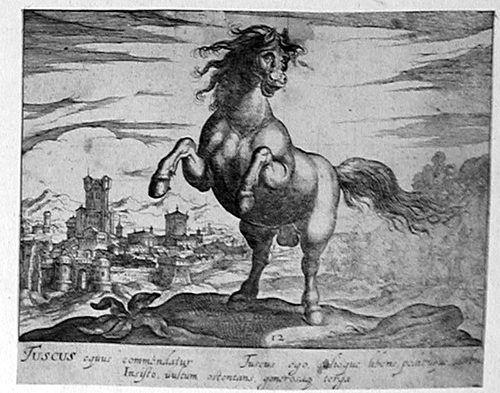 Stehendes Pferd
