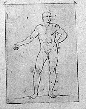Nackter Mann als eine Proportionsfigur